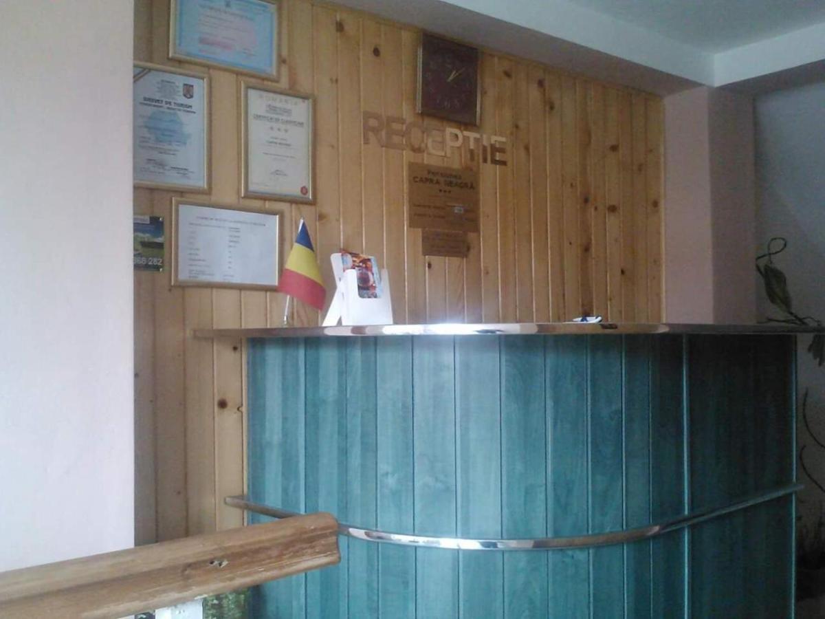 Pensiunea Capra Neagra Buşteni Exteriör bild