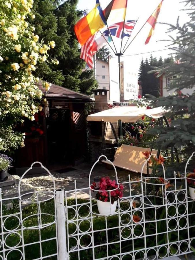 Pensiunea Capra Neagra Buşteni Exteriör bild